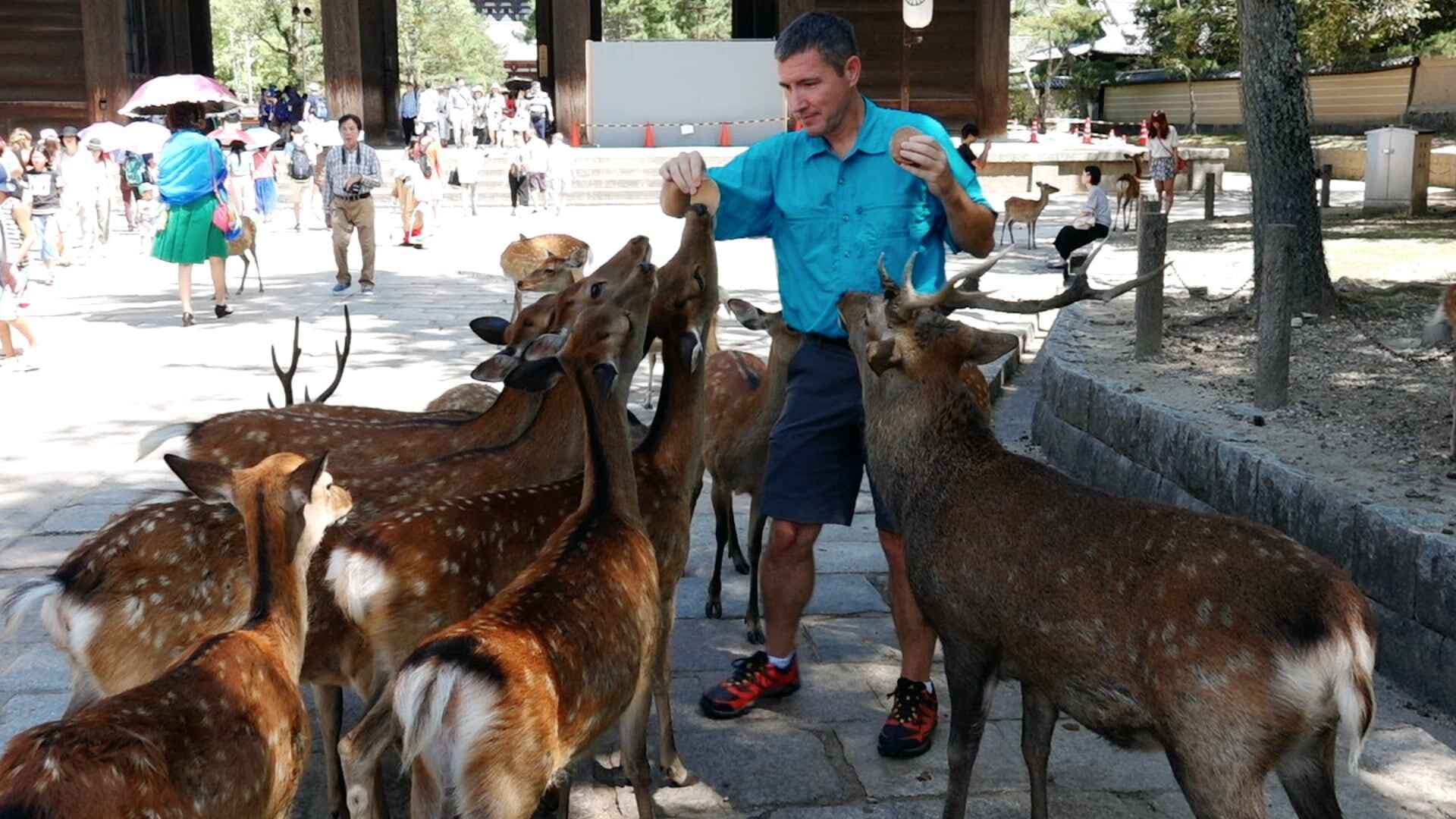 Foodie Adventure in Osaka
